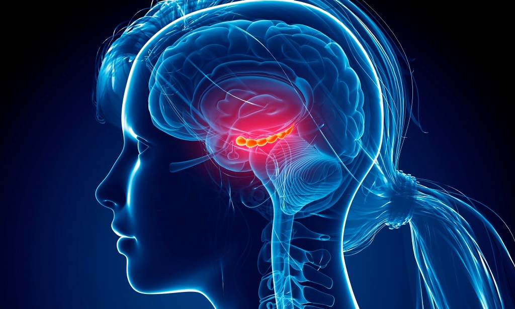 التهاب الدماغ  Encephalitis