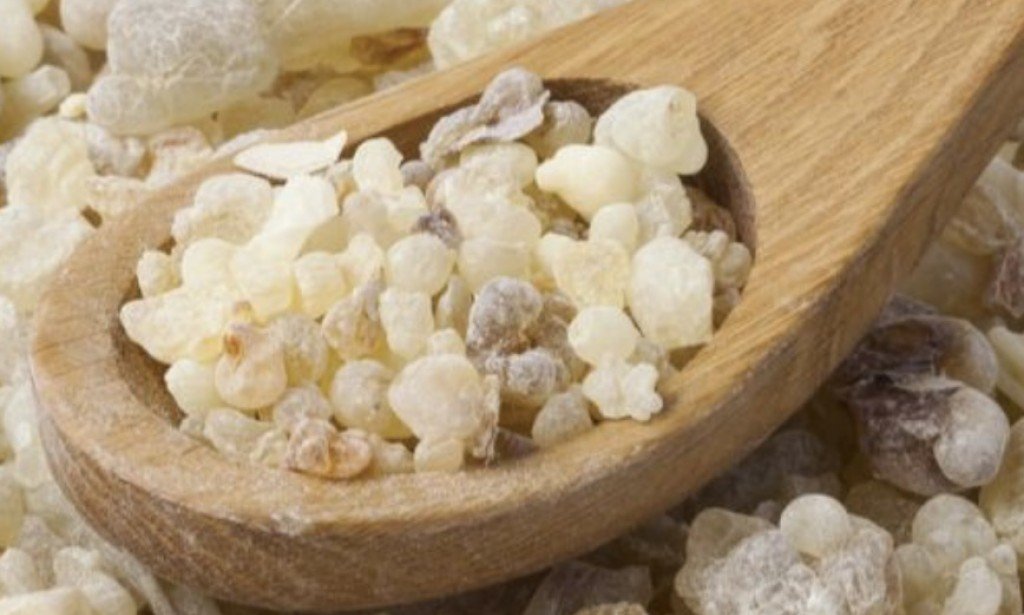 فوائد شرب منقوع لبان الذكر على الريق