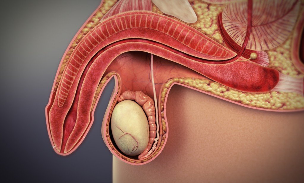 . Surprisingly, cycling treats impotence better than Viagra