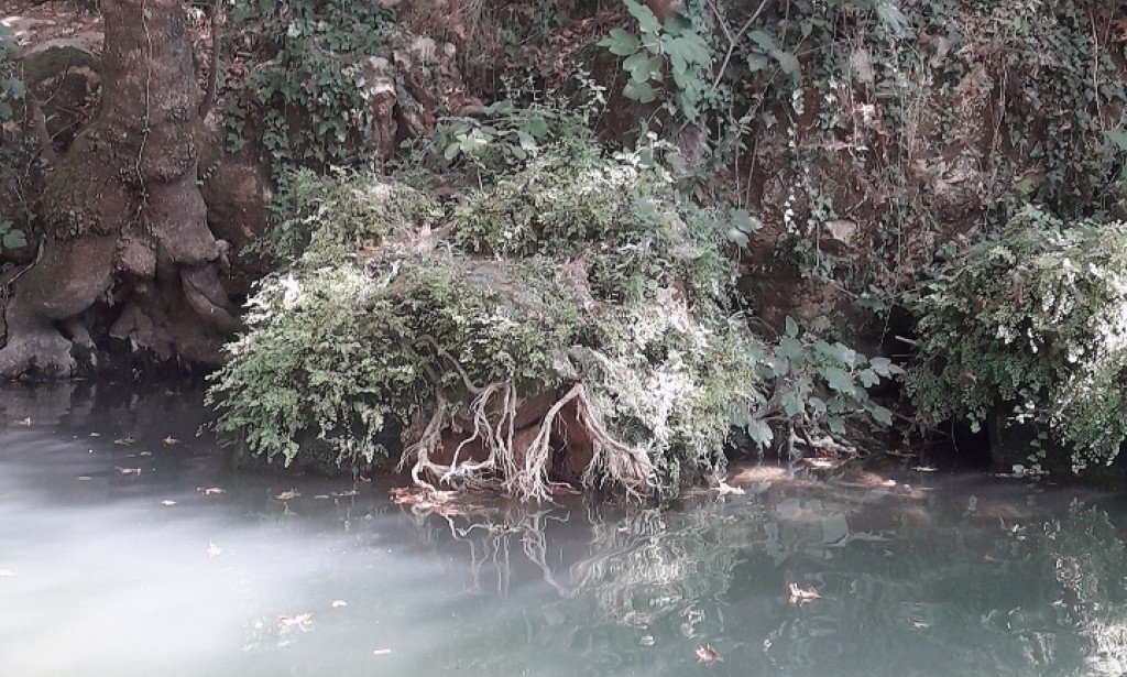 قصيدتي إلى مصر