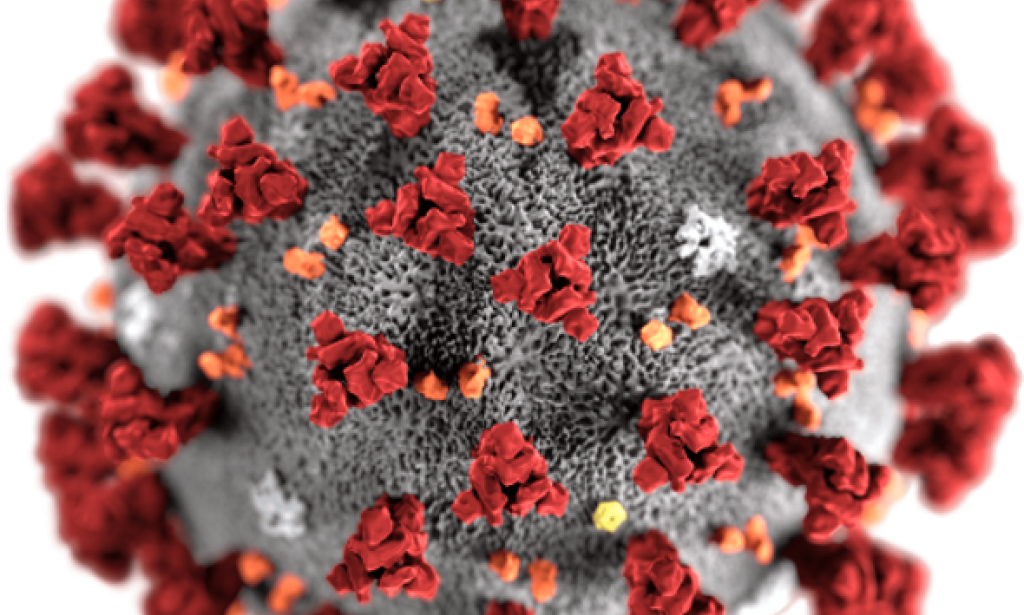 A few neighborhood instructors say NYS Coronavirus testing