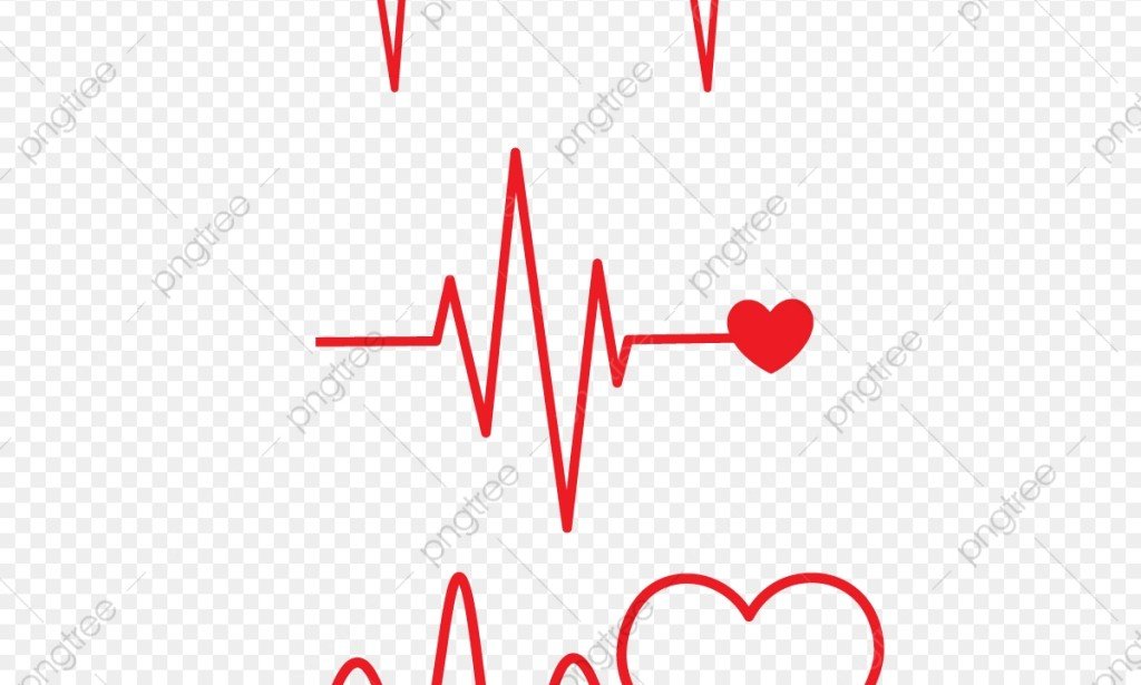 فوائد الكارديو