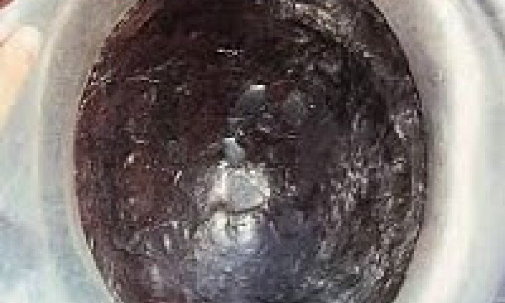 الحجر الأسود ياقوتة من الجنة