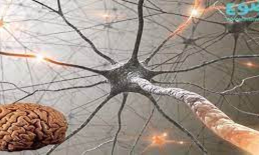 كهرباء المخ لدي الاطفال ...هل يمكن الشفاء منها نهائياً ام لا و ماهي اسبابها و طرق العلاج ؟