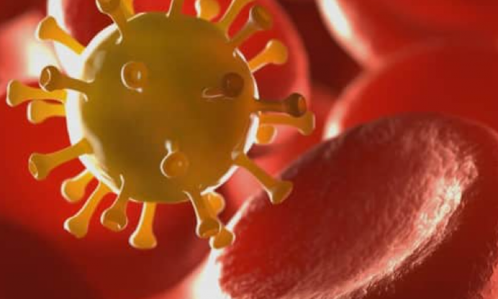 تعرف علي أسرع علاج للأنيميا