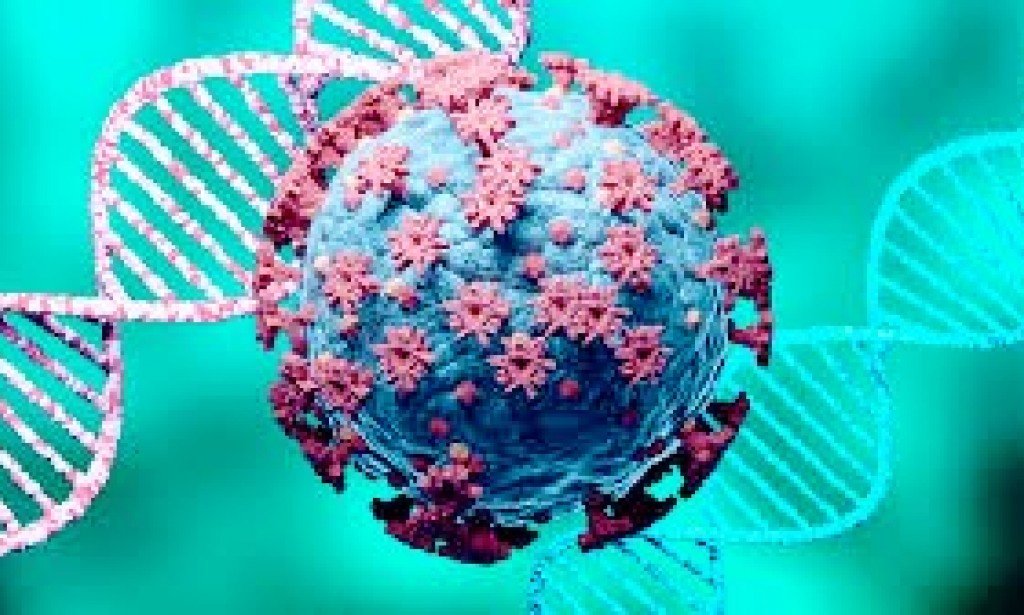 لقب كورونا يستخدم من قديم الزمان تعرف عليه الان