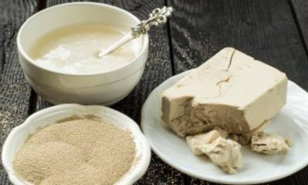 الخميرة لنفخ الخدود والشفايف