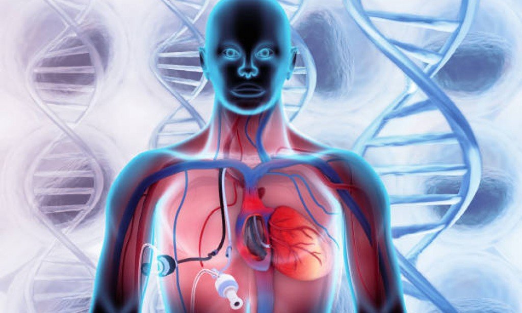 إرتفاع الكوليسترول ، أسبابه، وطرق الوقاية