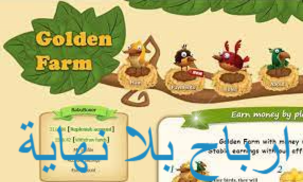 الربح من الانترنت موقع راهيب 2022