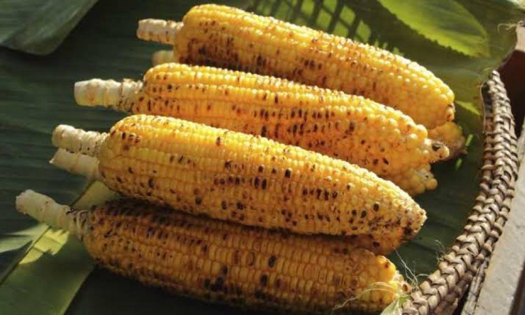 فوائد الذرة المشوى