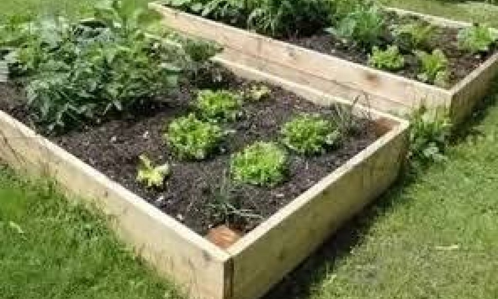 مزرعتي الجديدة - 2