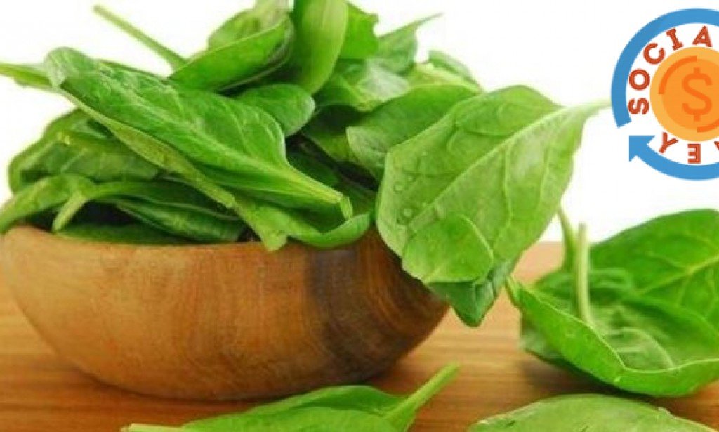 هذه فوائد الجرجير اللتي ستساعدك على تحسين نظامك الغذائي الصحي