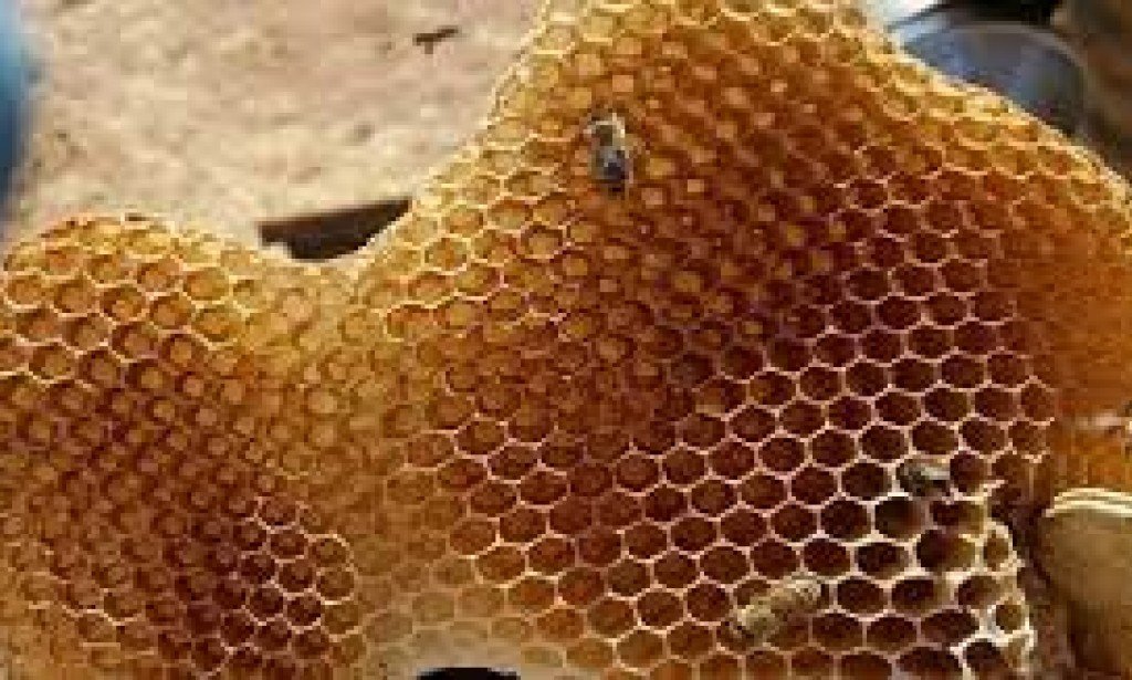 المشروب السحري الذي يبحث عنه جميع الرجال لمدة أطول في العلاقة وقوة الباءة