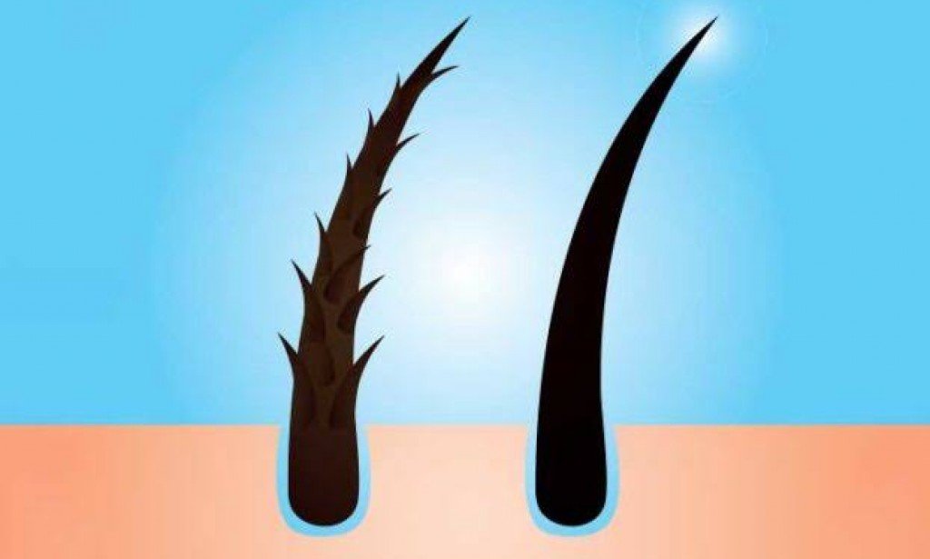 أفضل الطرق لتغذية وعلاج الشعر