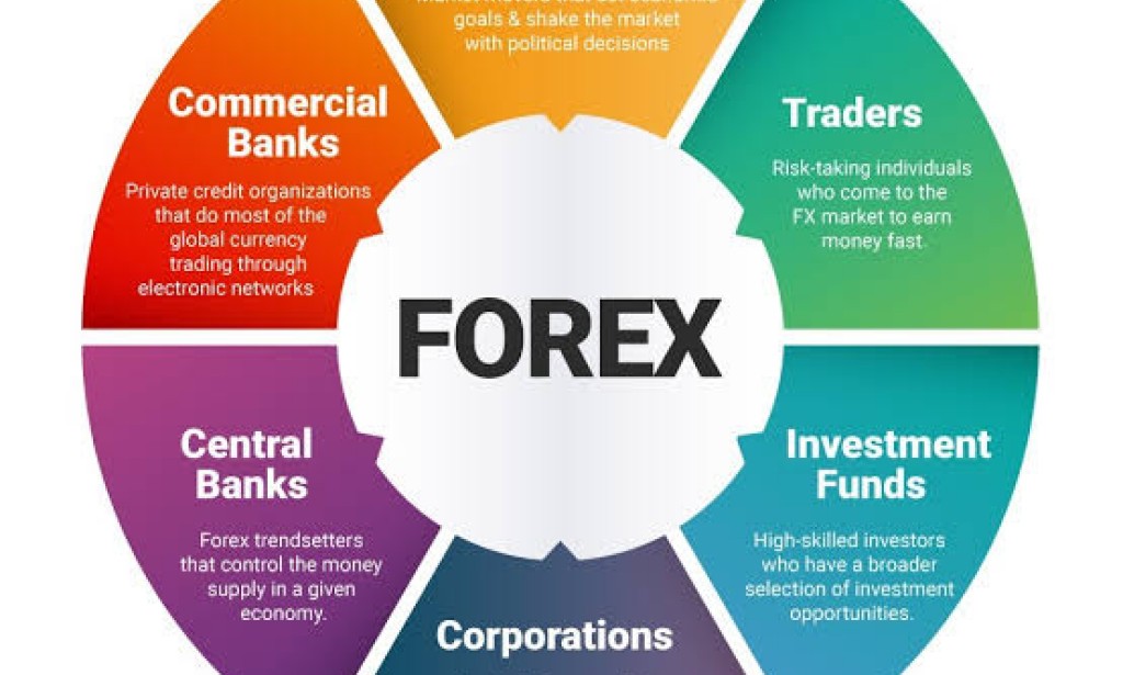 تجارة الفوركس : دليل لفهم تجارة الفوركس