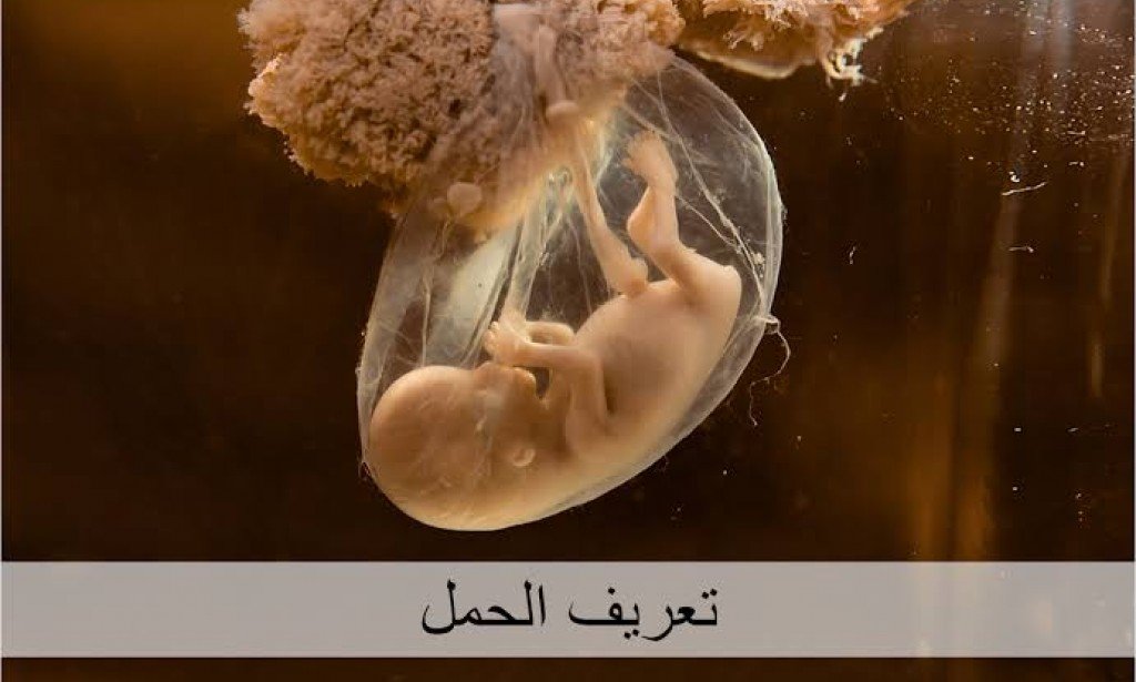 تعريف الحمل بالتفصيل