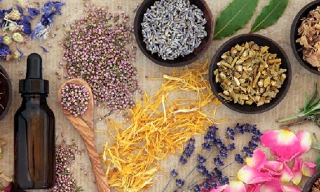 أغذية وأعشاب لتحسين القدرة الجنسية للرجل والمرأة