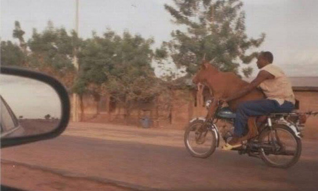 مواقف وطرائف المصريين  من هنا وهناك