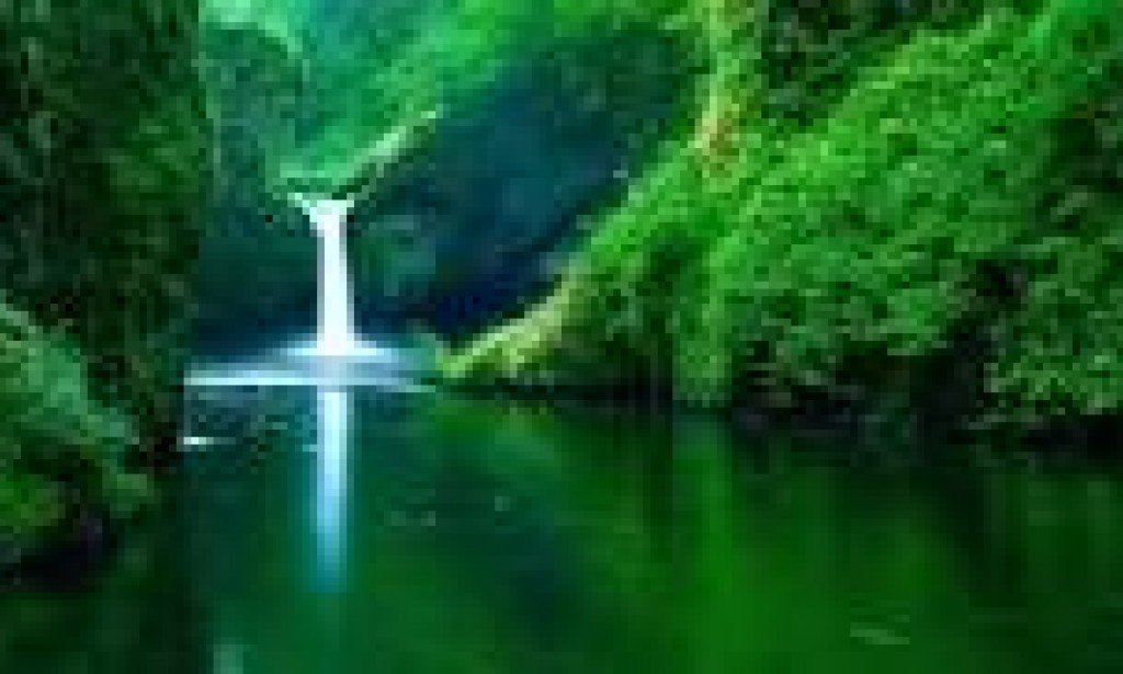 جمال الطبيعة الذي يمكن العثور عليه في العالم المكدوم