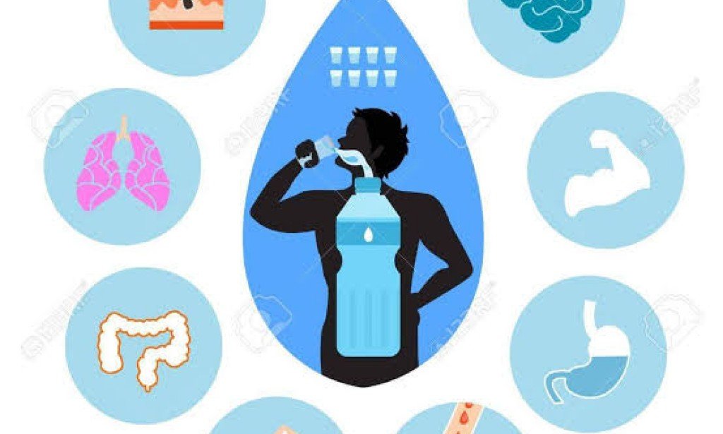 اهم فوائد الماء لجسم الانسان- اهم استخدامات الماء