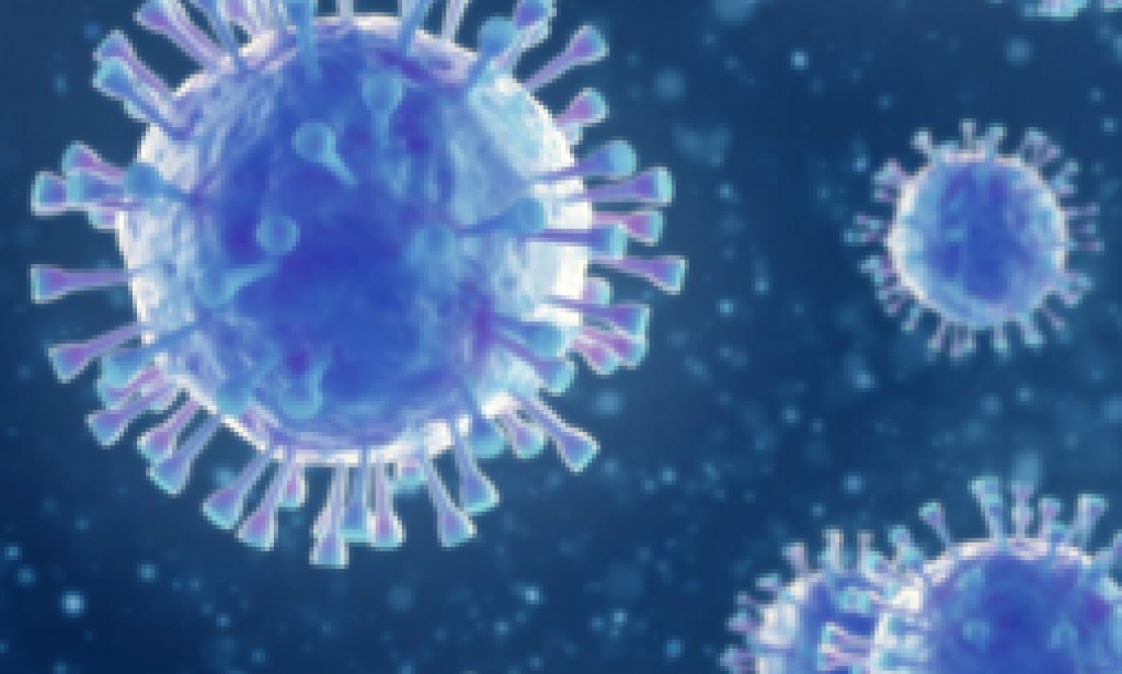 فيروس كورونا كوفيد 19 المستجد