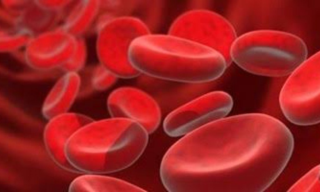 الأنيميا - أسبابها وأعراضها