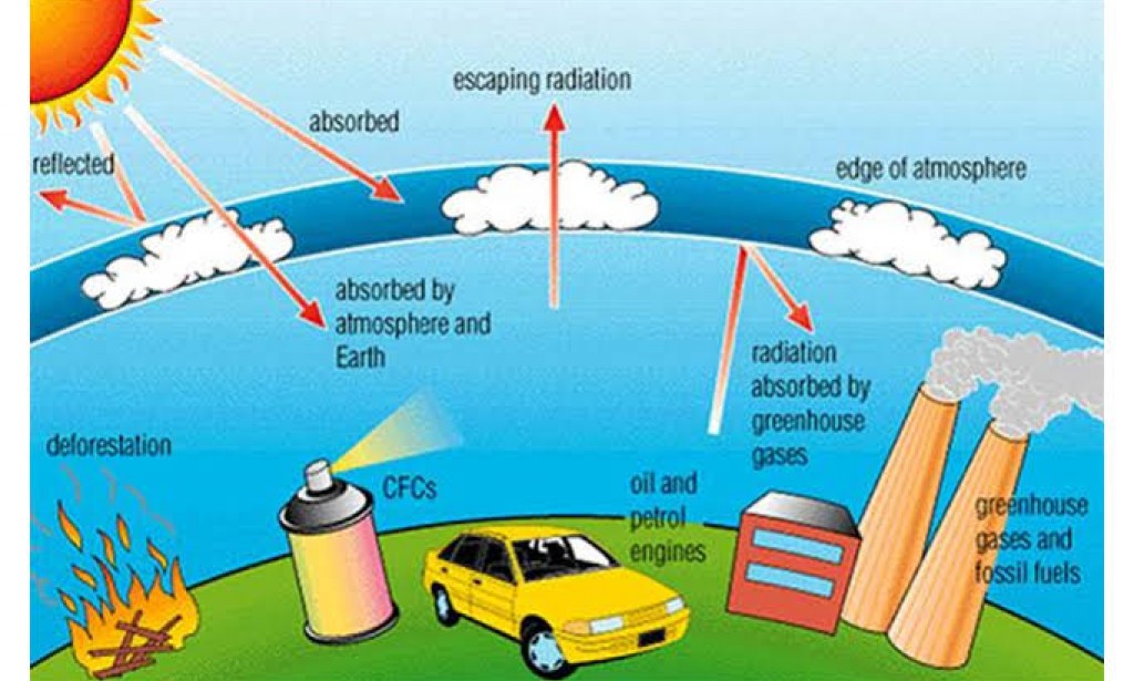 greenhouse gases cause