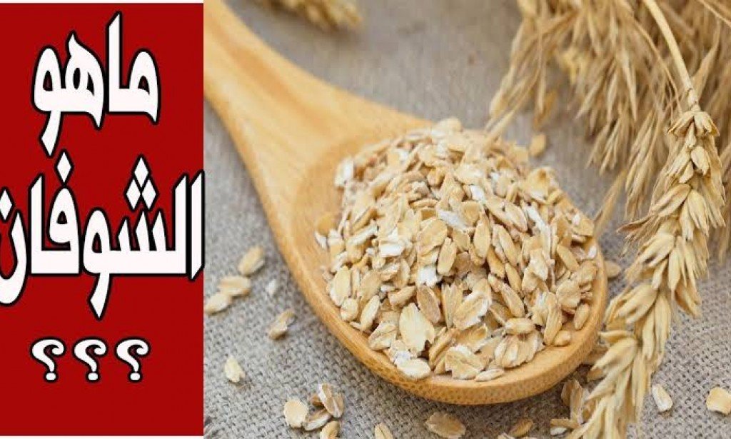 ماذا تعرف عن نبات الشوفان؟