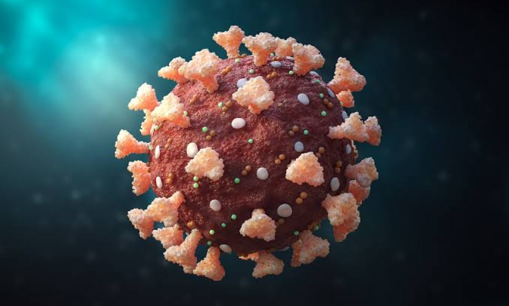 Will The Pandemic Transform Into An Endemic?: 5 Considerations