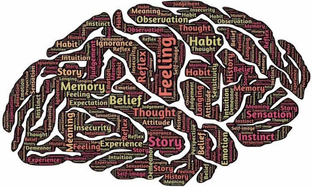 analyse the knowledge