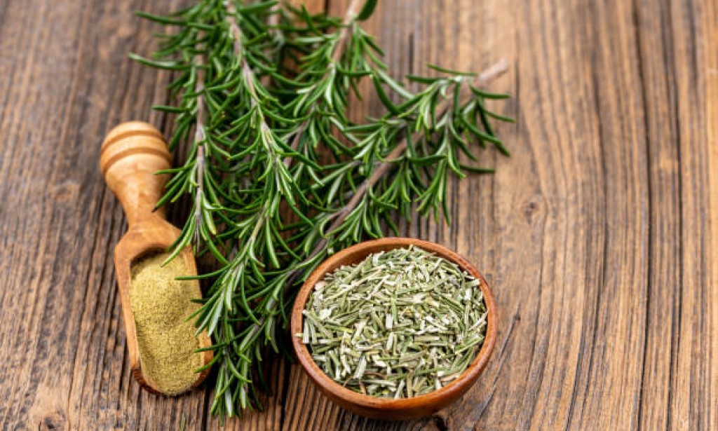 اكليل الجبل معجزة علاجية كبيرة