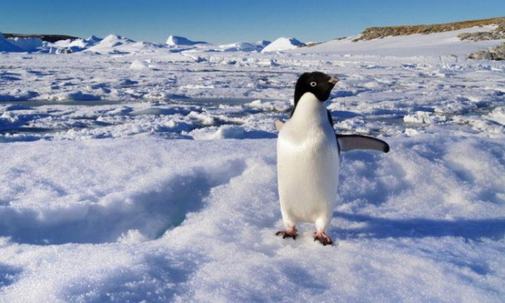 تأثير تغيرات المناخ علي القاره القطبيه الجنوبيه