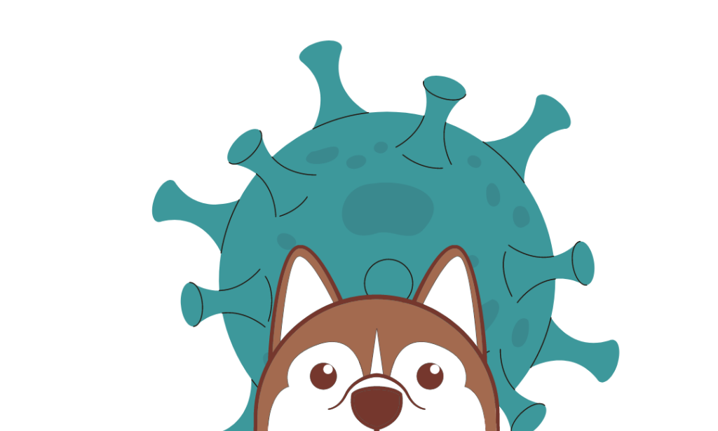 Can My Pet Give Me COVID-19? The World Health Organization Weighs In