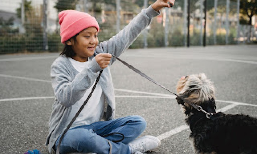 ?So You Want to Read a Cat Book