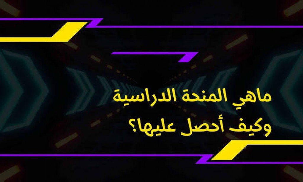 ما هي المنحة الدراسية؟ وما أنواعها؟ وكيف تحصل عليها؟