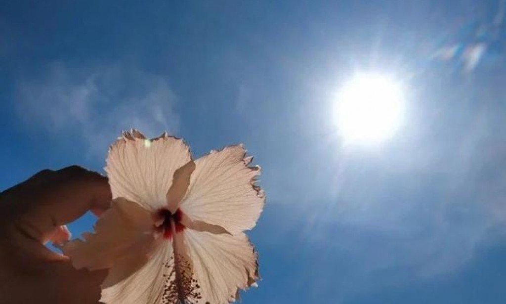 اسلوب الحياة