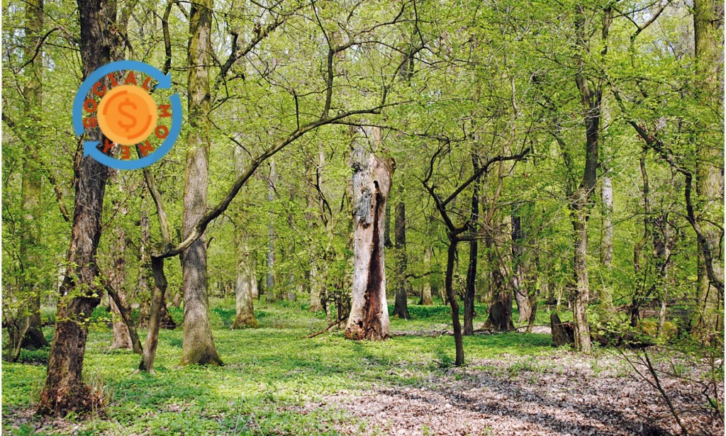 فوائد دراسة العلوم الطبيعية