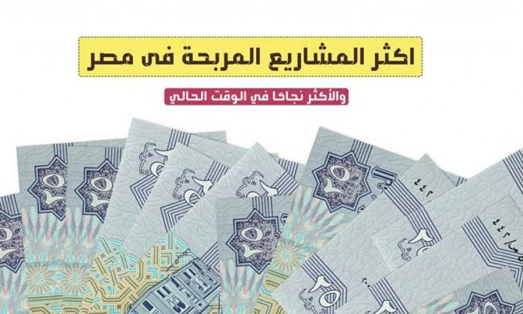 ماهى اكثر المشاريع ربحا فى مصر 2023