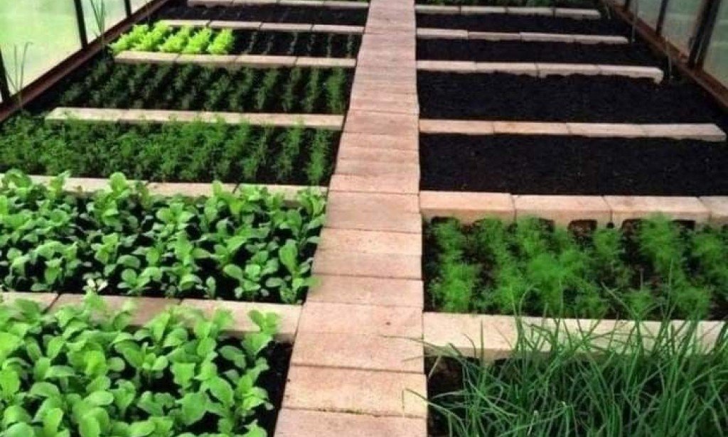 اهمية الزراعة