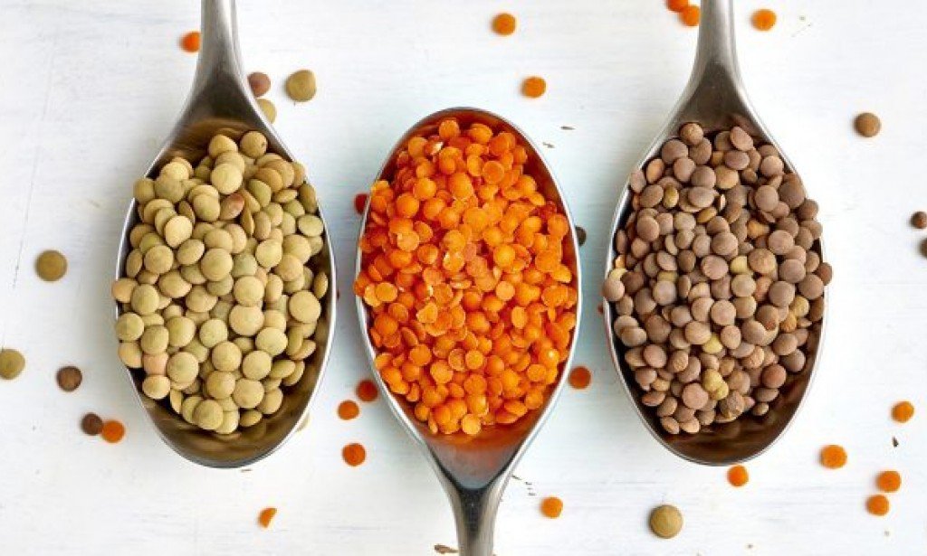 هل العدس يرفع السكر؟