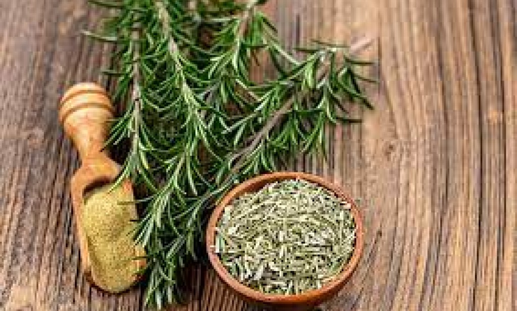 إكليل الجبل: نبات عطري متعدد الإستخدامات