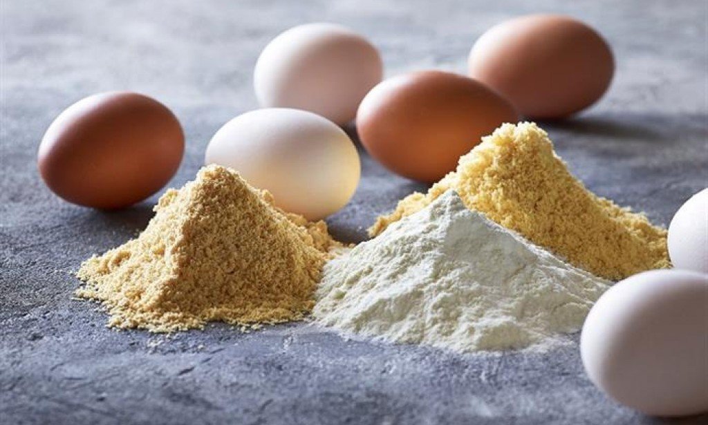 كيف يختلف البيض البودرة عن البيض العادي واستخداماته