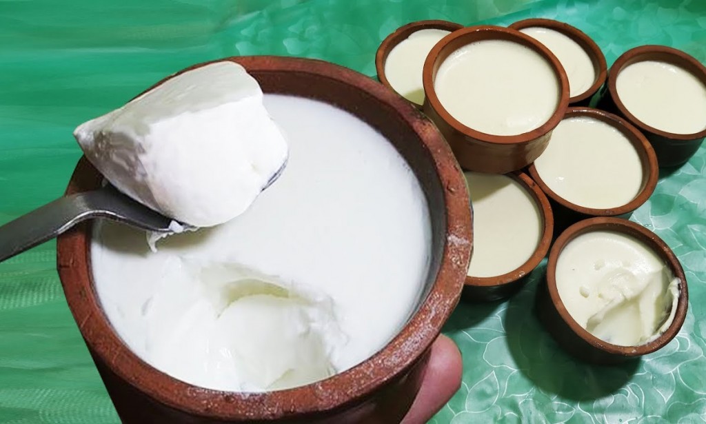 طريقة عمل الزبادى فى البيت