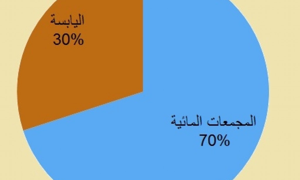 حل سؤال يشكل الماء النسبة الأغلب من مساحة الكرة الأرضية