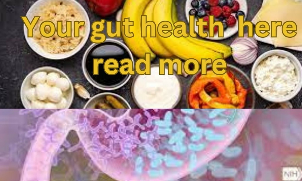 "Gut Health Decisive " GDH