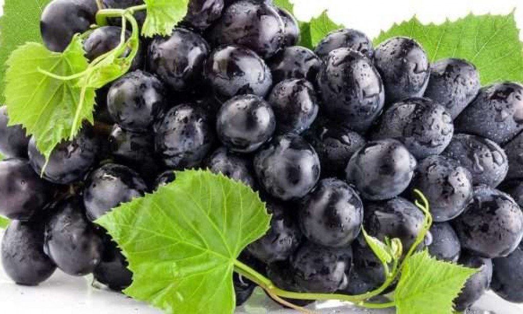 فوائد العنب الأسود للبشرة