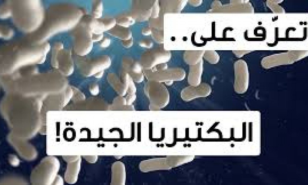البروبايوتيك او البكتيريا الصديقة