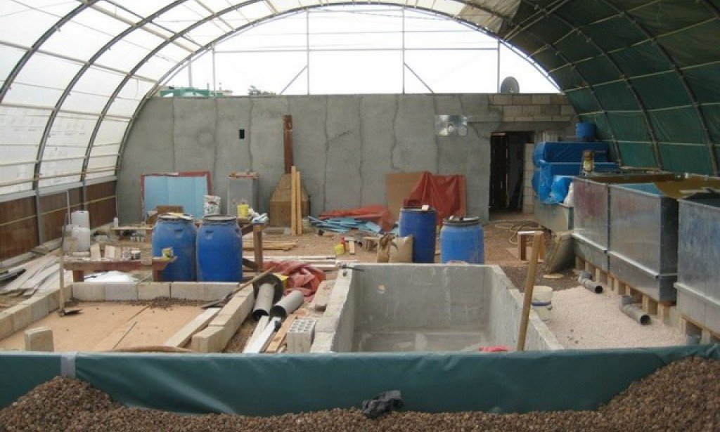 مشروع مزرعة سمك في البيت