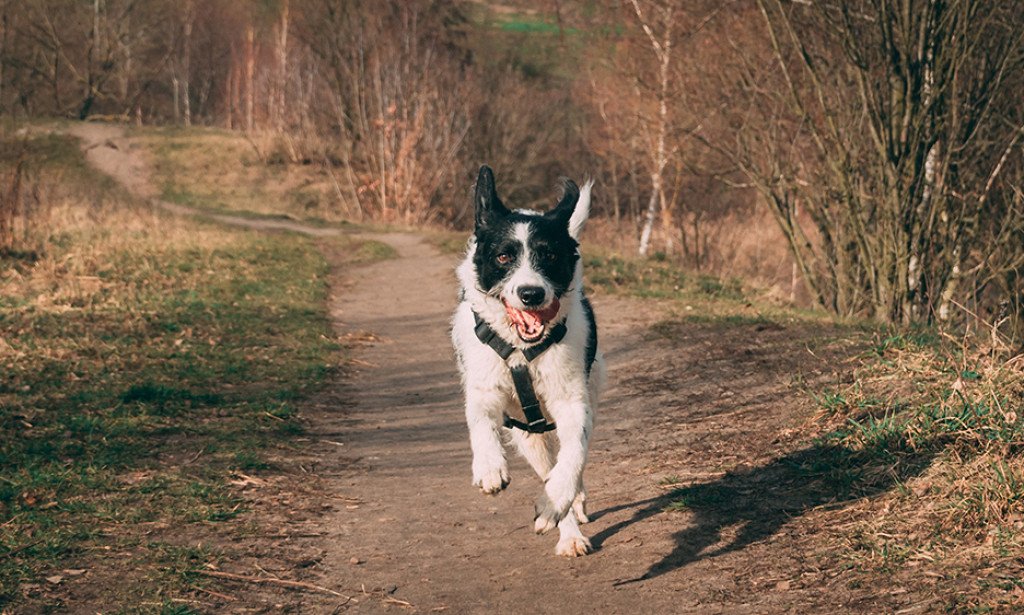 حكاية فيلم Until forever