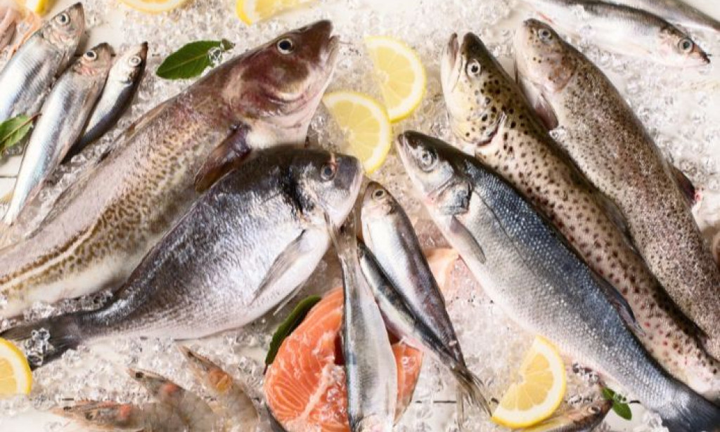 جدول السعرات الحرارية في السمك بأنواعه مشوي ومقلي